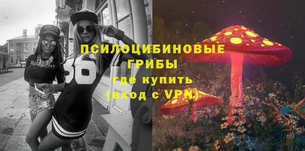 шишки Алексин