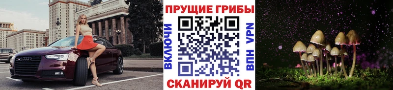 Галлюциногенные грибы Psilocybe  Березники 